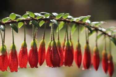 广州天河区2私人快速借钱网，轻松解决资金难题