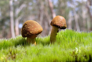 广州天河区2私人老板放款：轻松融资的秘密通道